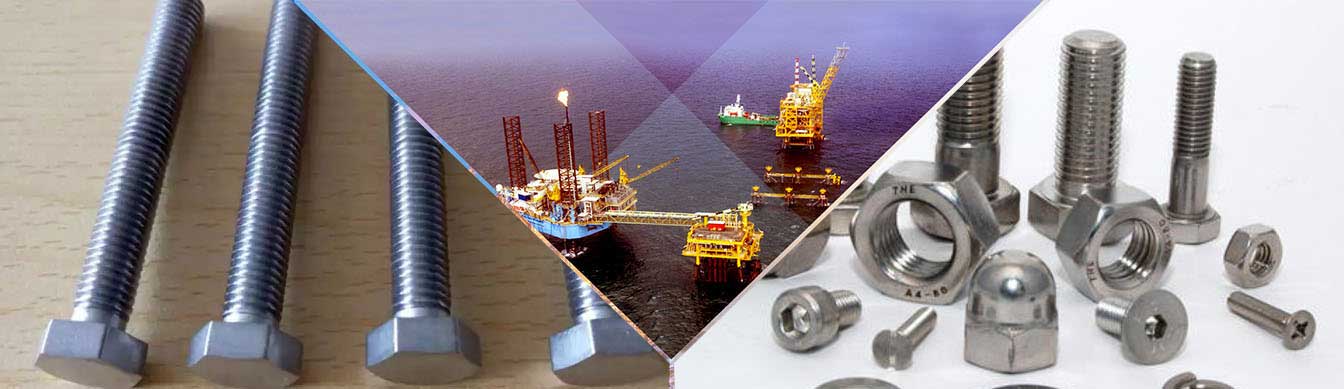 Stainless Steel 317L Fasteners