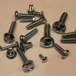 Stainless Steel 317L Screw